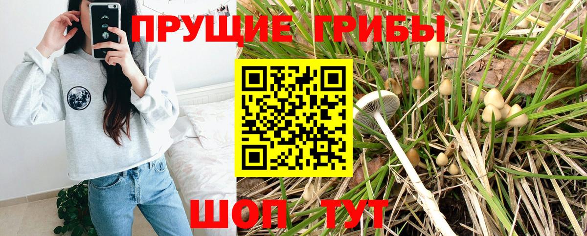 Когалым  Галлюциногенные грибы ЛСД  Галлюциногенные грибы мицелий  Вход с VPN 