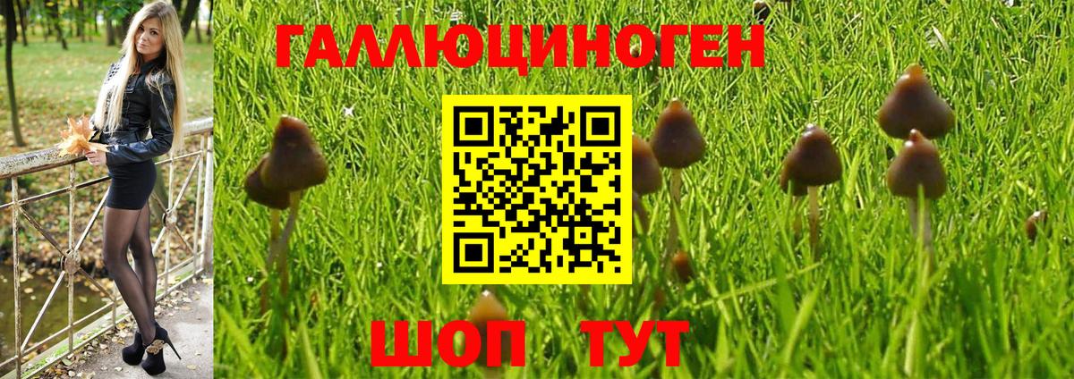 Псилоцибиновые грибы Magic Shrooms Когалым